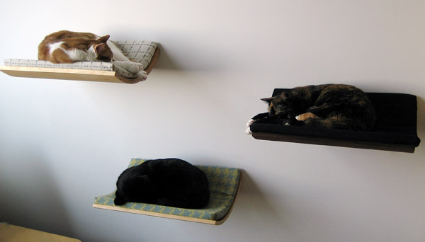 Антистрессовая фотогалерея: коты, которые идеально вписались в интерьер